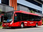 Marcopolo Viale BRS 2013 года